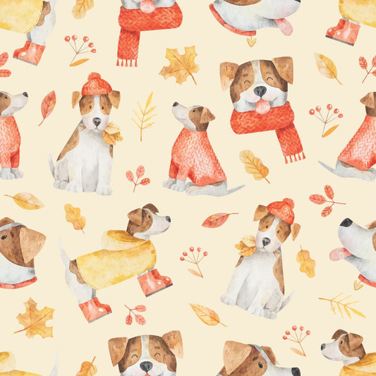 Snuggly Paws - Minky Blanket